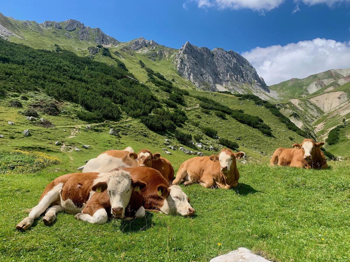 Apartmán Wetterstein Ehrwald