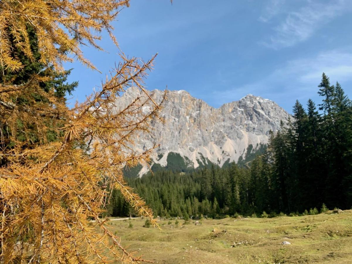Apartment Wetterstein Ehrwald