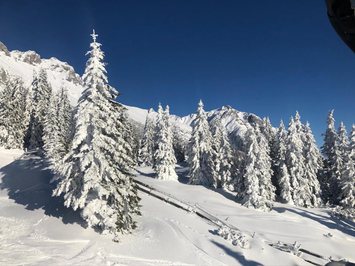 Apartment Das Wetterstein Ehrwald